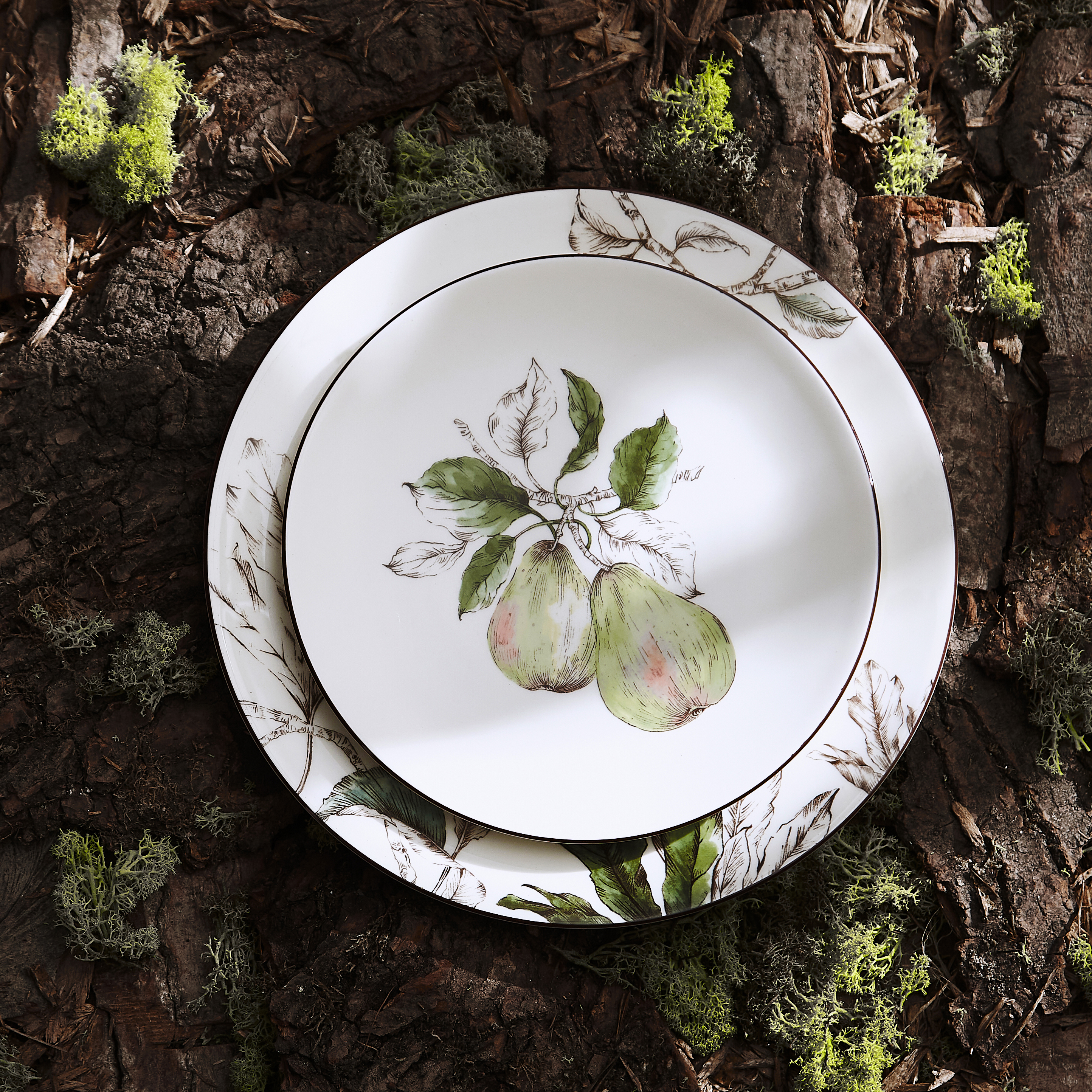 Nature's Bounty 4 Piece Place Setting, Pear image number null